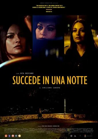 Succede in una notte (2025)